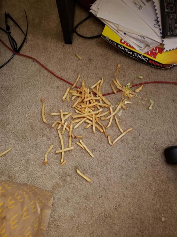 Shit Happens Regularly, Get Used To It #391 (20 photos)
