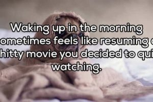 Funny Shower Thoughts That Sound Smart #214 (19 photos)