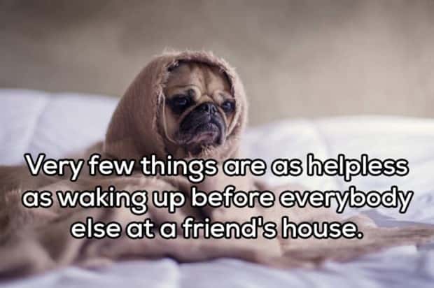 shower thoughts 18 Funny Shower Thoughts That Sound Smart #214 (19 photos)