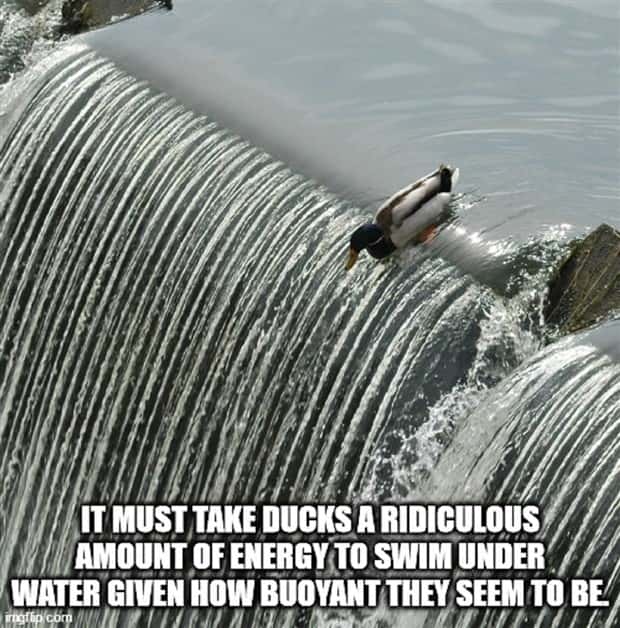 Funny Shower Thoughts That Sound Smart #215 (22 photos)