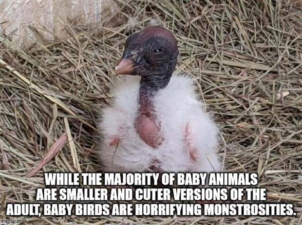 Funny Shower Thoughts That Sound Smart #217 (21 photos)