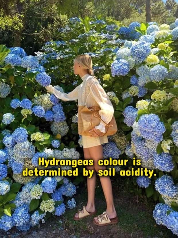 Funny Shower Thoughts That Sound Smart #216 (20 photos)
