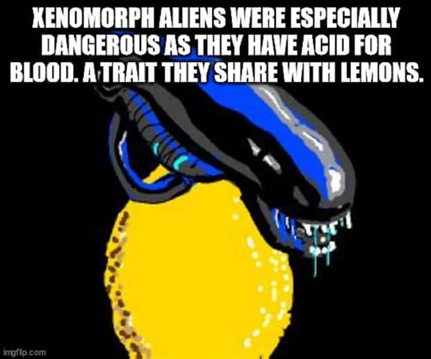 Funny Shower Thoughts That Sound Smart #217 (21 photos)