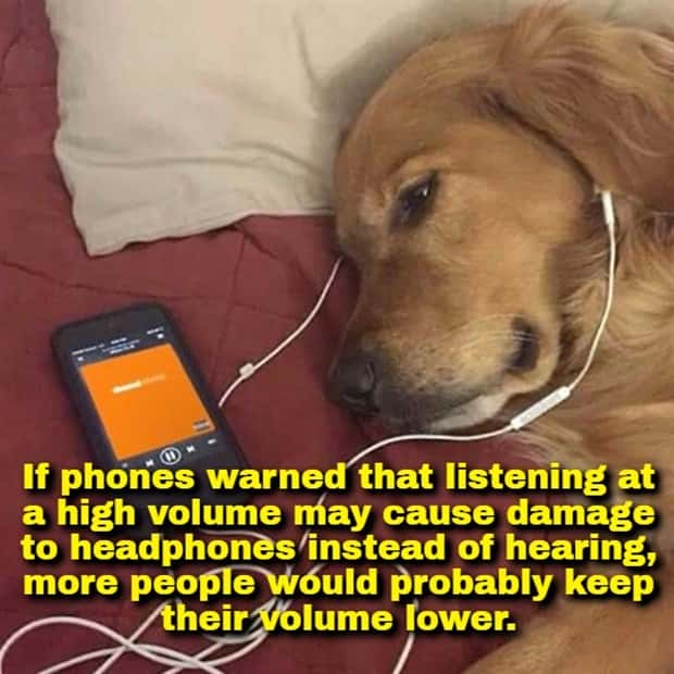 Funny Shower Thoughts That Sound Smart #213 (21 photos)