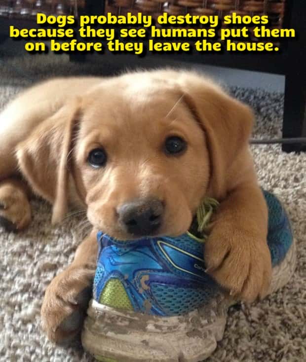 Funny Shower Thoughts That Sound Smart #213 (21 photos)