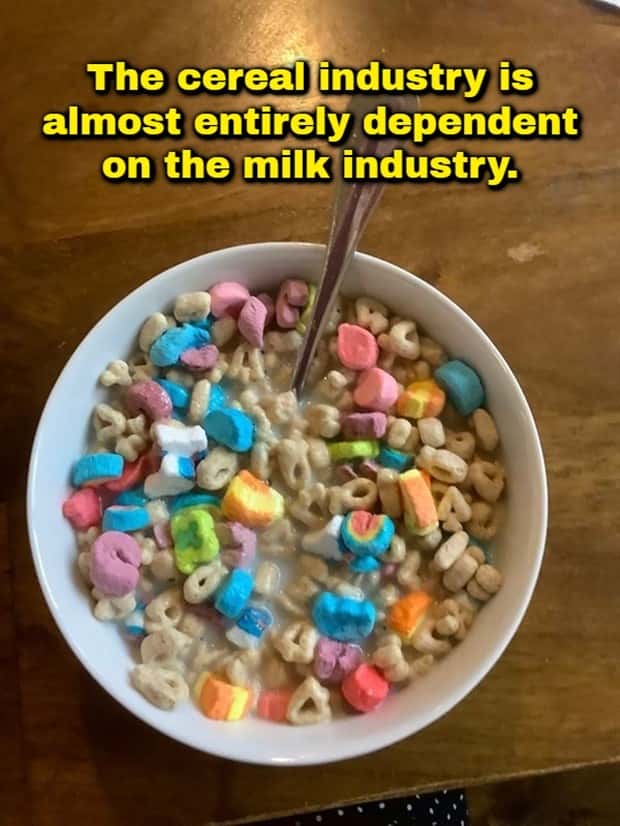 Funny Shower Thoughts That Sound Smart #213 (21 photos)