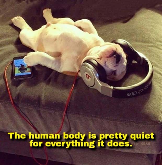 Funny Shower Thoughts That Sound Smart #213 (21 photos)