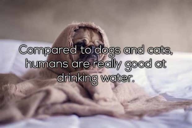 Funny Shower Thoughts That Sound Smart #213 (21 photos)