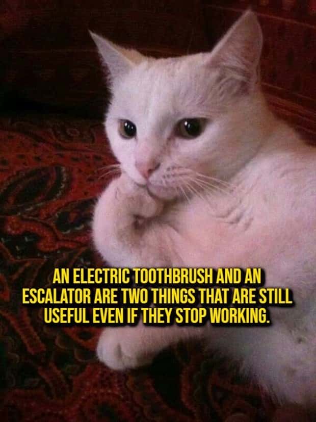 Funny Shower Thoughts That Sound Smart #213 (21 photos)