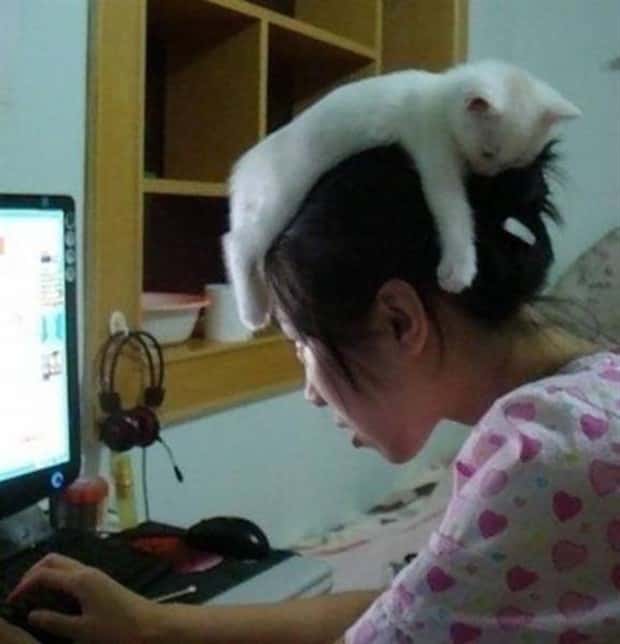 Weird Japan Moments You Have Never Seen (19 photos)