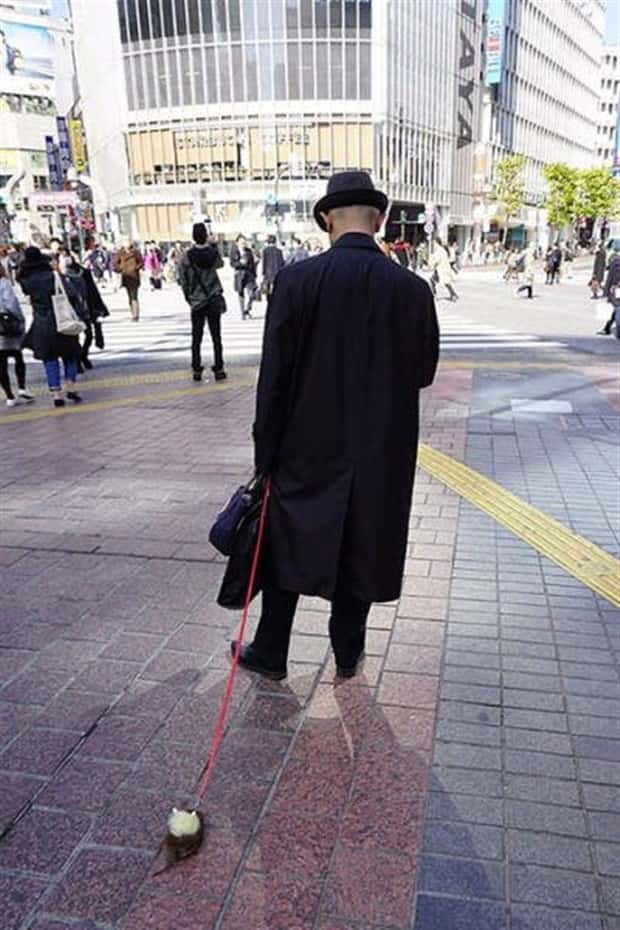 Weird Japan Moments You Have Never Seen (19 photos)