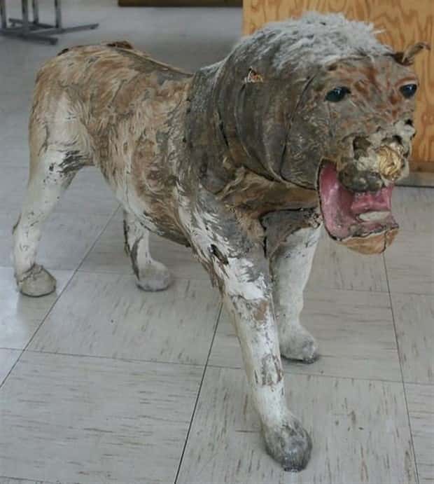 Terrible Taxidermy Fails You Have To See (19 photos)