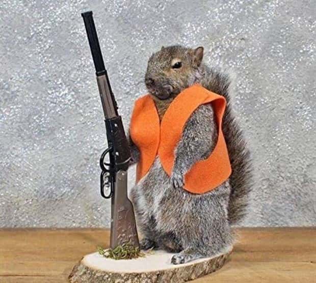 Terrible Taxidermy Fails You Have To See (19 photos)