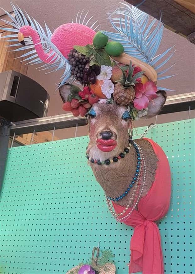 Terrible Taxidermy Fails You Have To See (19 photos)
