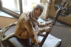 Terrible Taxidermy Fails You Have To See (19 photos)