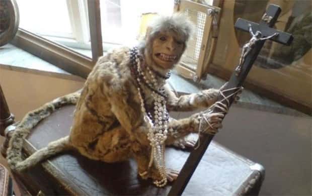 Terrible Taxidermy Fails You Have To See (19 photos)