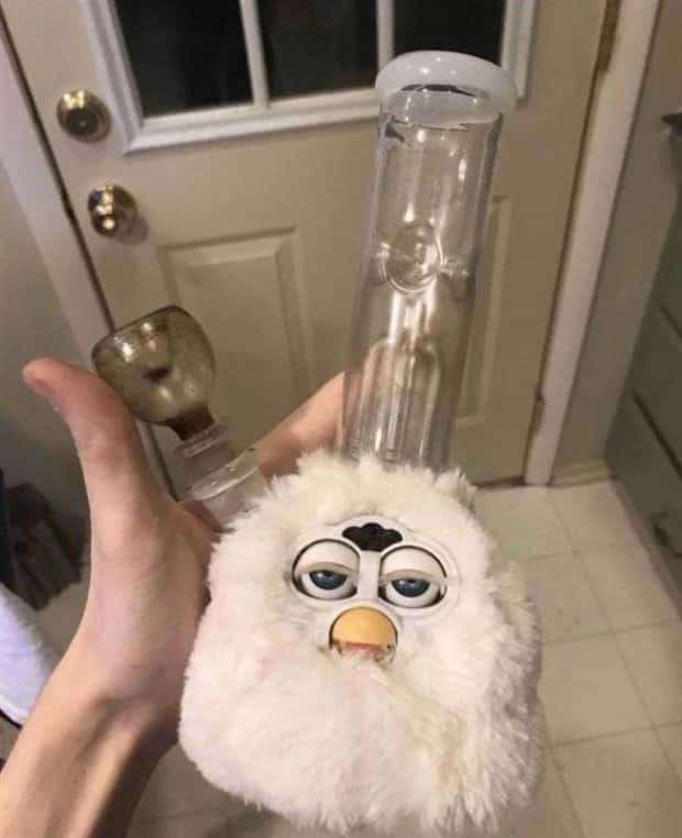 thrift store things 21 Strange Things Found in Thrift Stores #36 (22 photos)