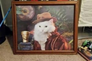 Strange Things Found in Thrift Stores #36 (22 photos)
