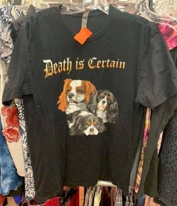 thrift store things 9 Strange Things Found in Thrift Stores #36 (22 photos)