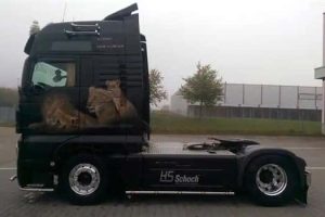 Amazing Truck Airbrush Designs That Stand Out (27 photos)
