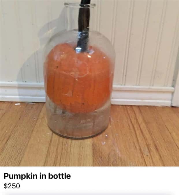 absurd marketplace things (12)