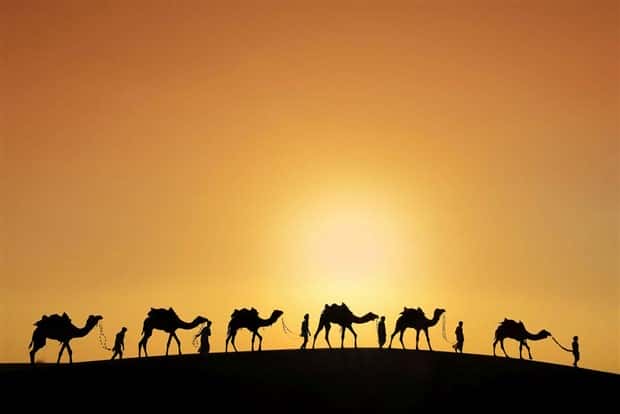 awesome photos (11)