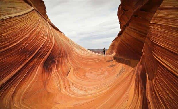 awesome photos (14)