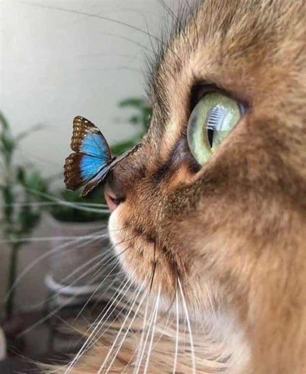 awesome photos (18)