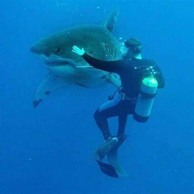 awesome photos (21)