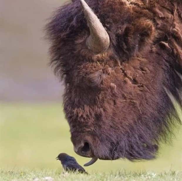 awesome photos (3)