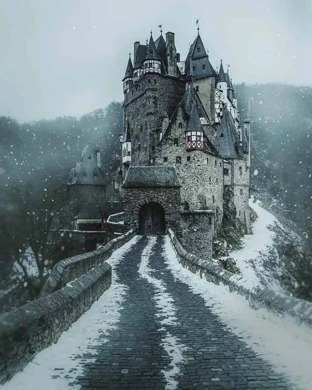 awesome photos (7)