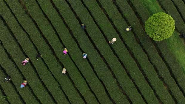 awesome photos 9 Awesome Pictures You Shouldn’t Miss #216 (18 photos)