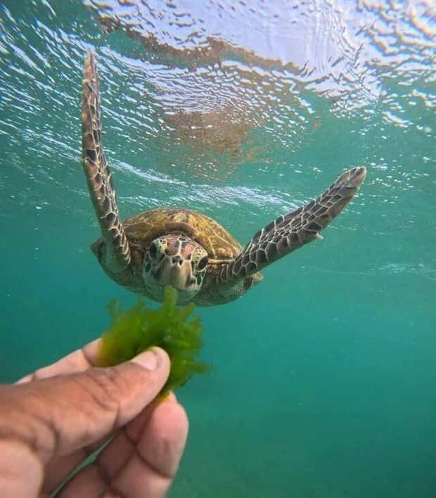 awesome pictures (13)
