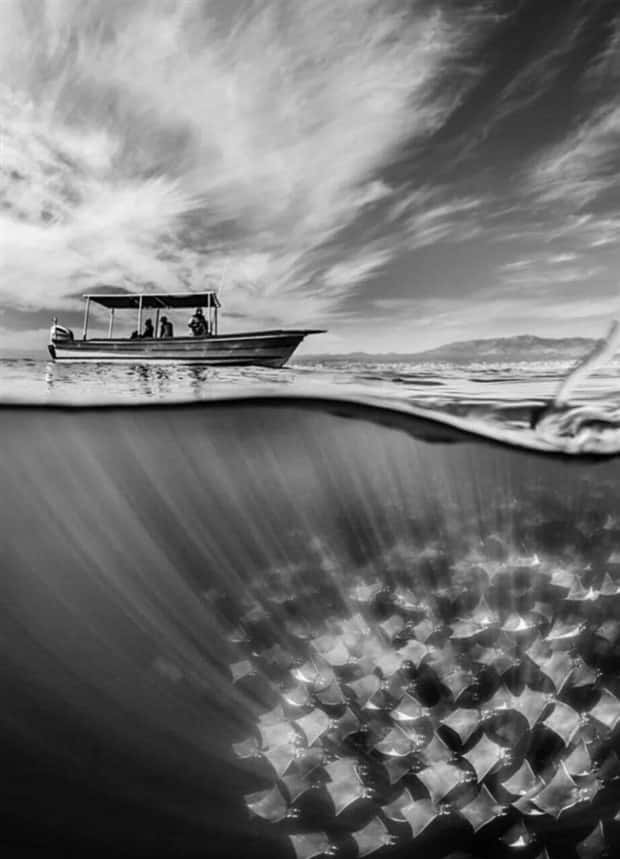 awesome pictures (14)