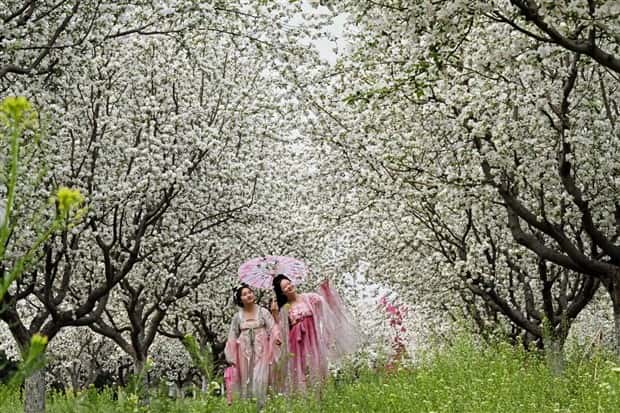 awesome pictures (14)