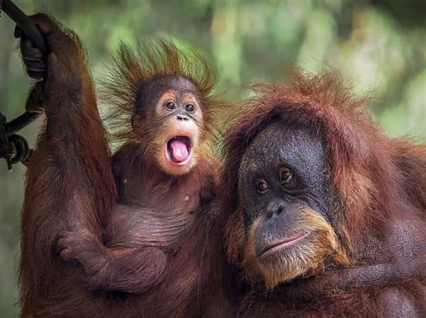 awesome pictures (16)