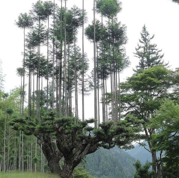 awesome pictures (16)