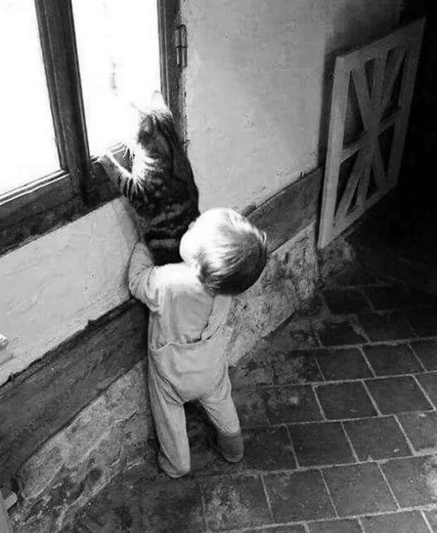 awesome pictures (19)