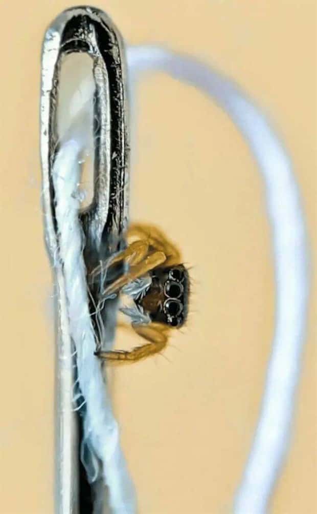 awesome pictures (19)