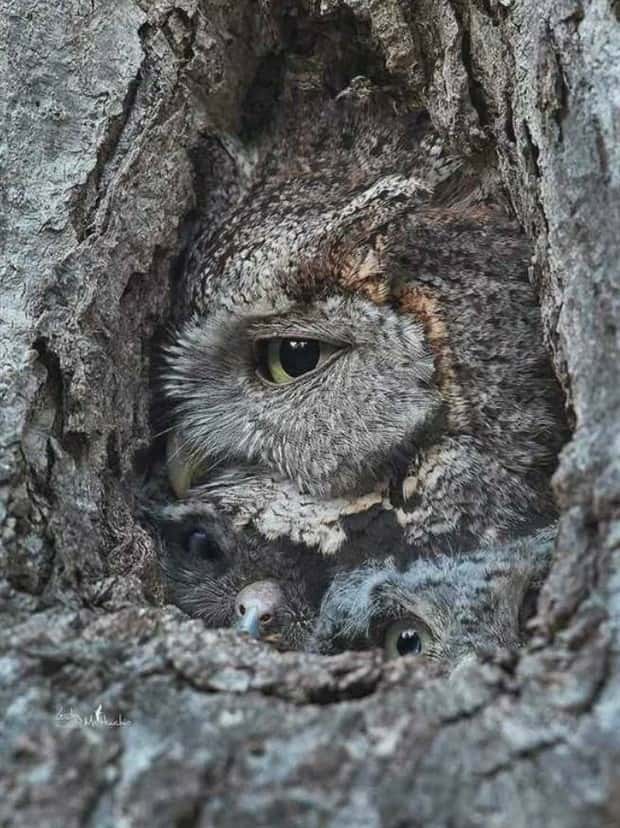 awesome pictures (22)