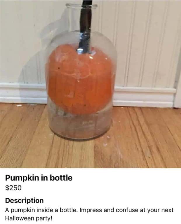 crazy marketplace listings (10)