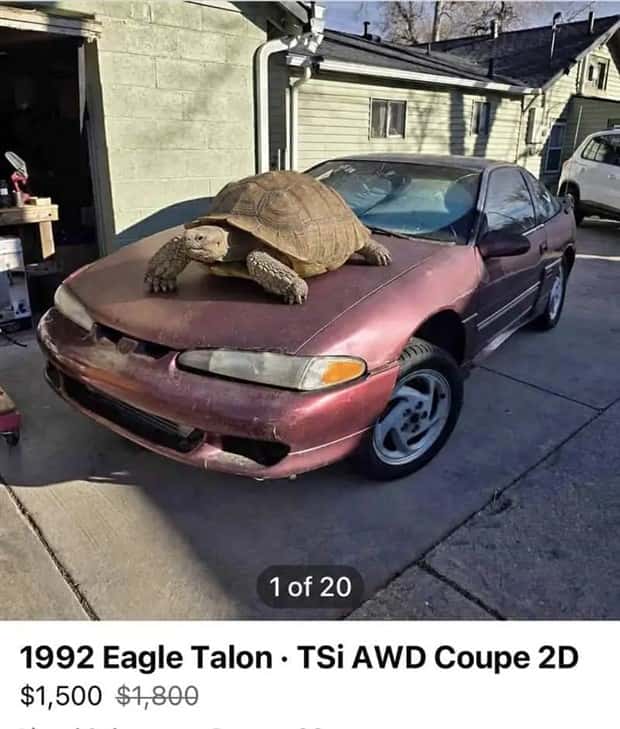 crazy marketplace listings (14)