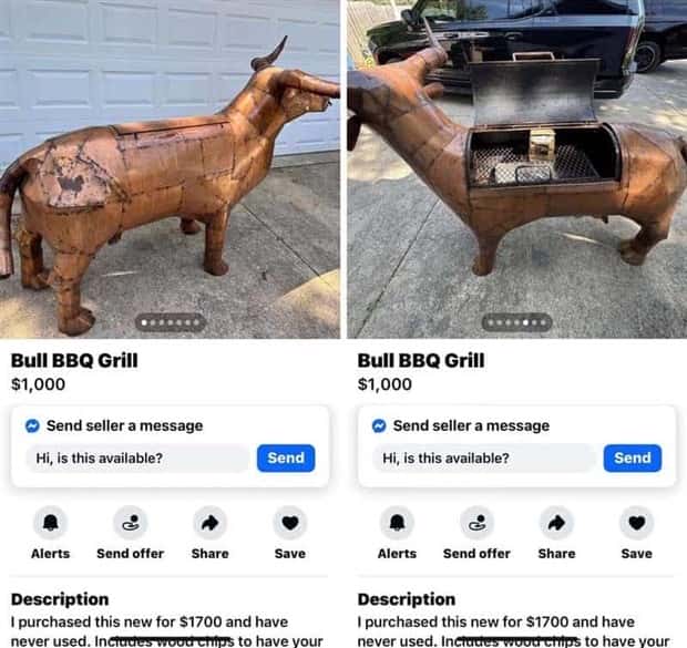crazy marketplace listings (16)