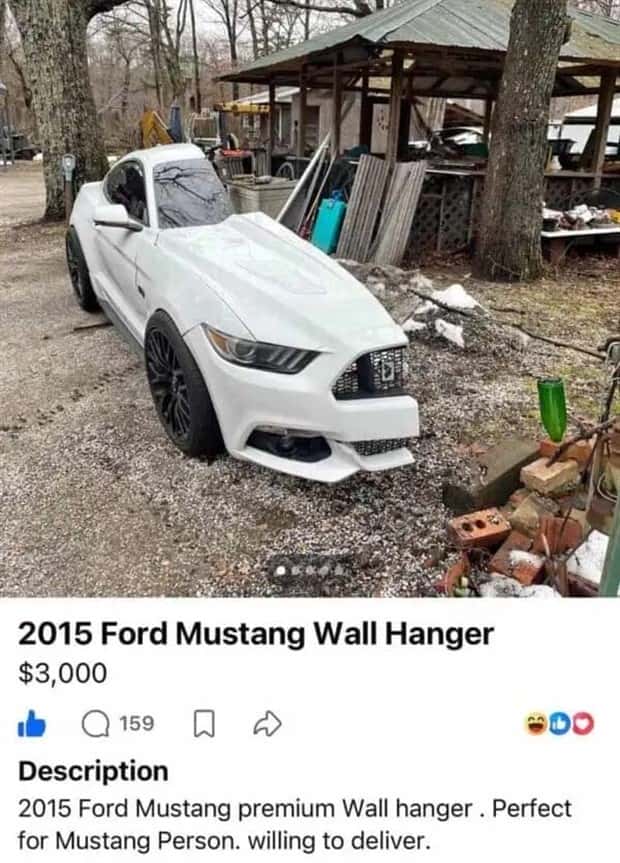 crazy marketplace listings (18)