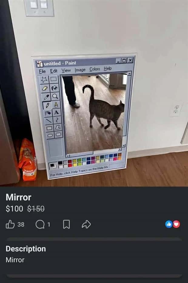 crazy marketplace listings (2)