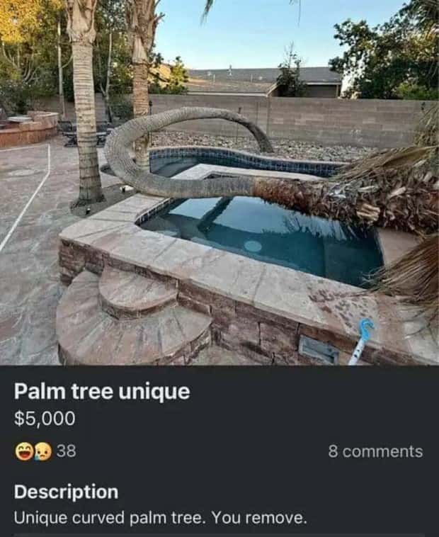crazy marketplace listings (30)