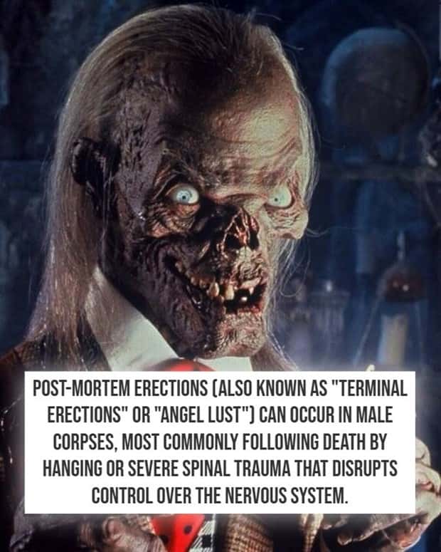 crazy nsfw facts (12)