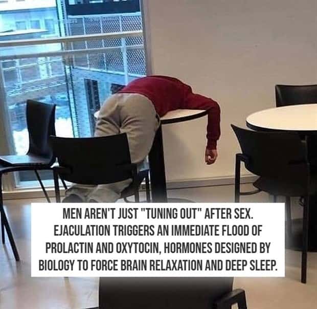 crazy nsfw facts (16)