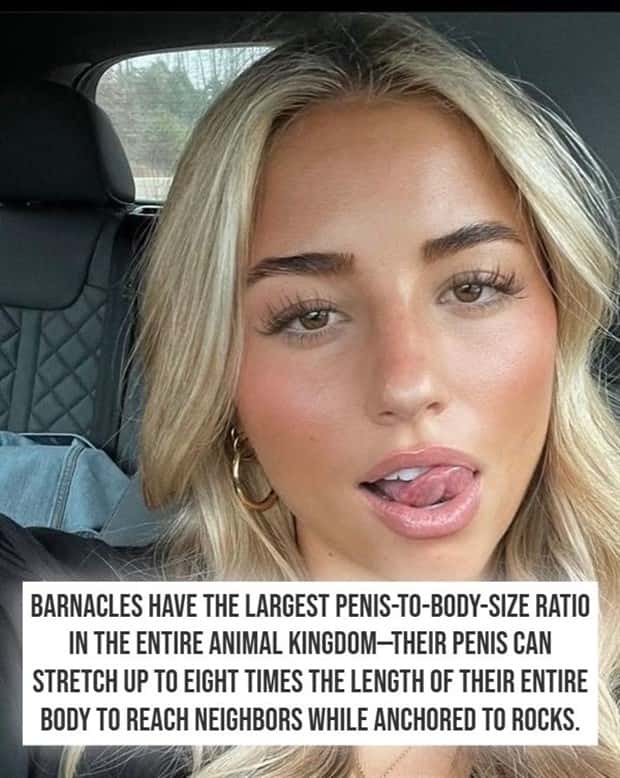 crazy nsfw facts (17)