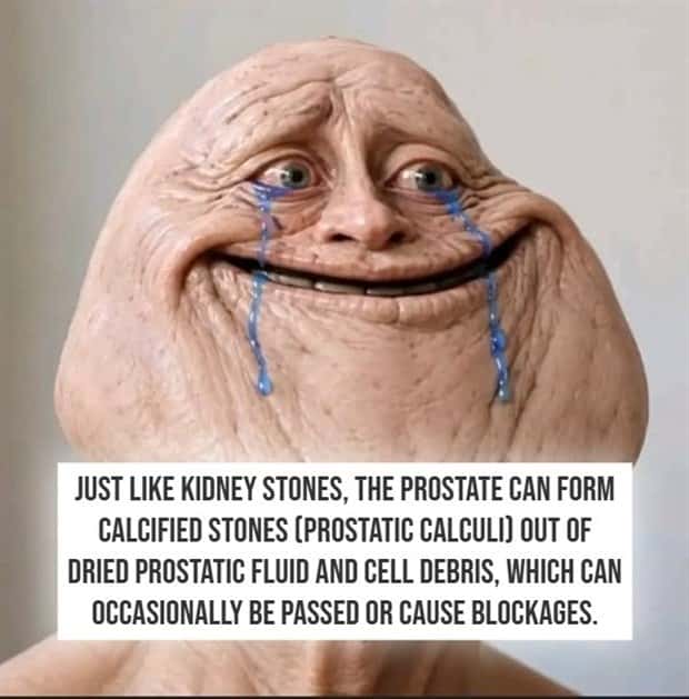 crazy nsfw facts (4)